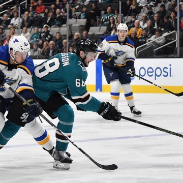 Blues vs Sharks: Series Preview
