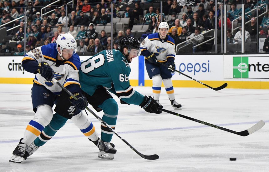 Blues vs Sharks: Series Preview